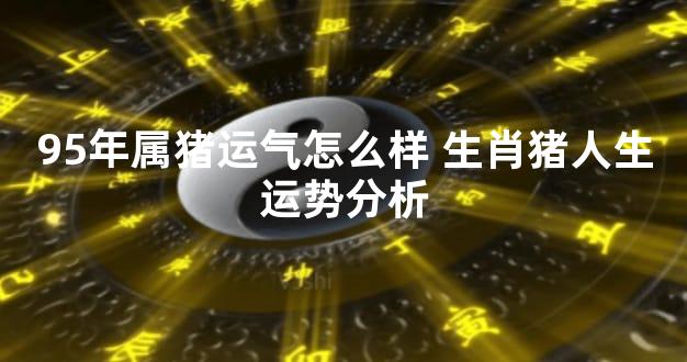 95年属猪运气怎么样 生肖猪人生运势分析